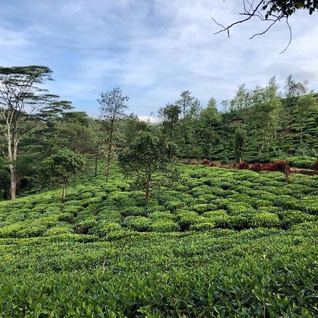 Parisons Plantation Experiences By Abad Hotel Mananthavady Bagian luar foto