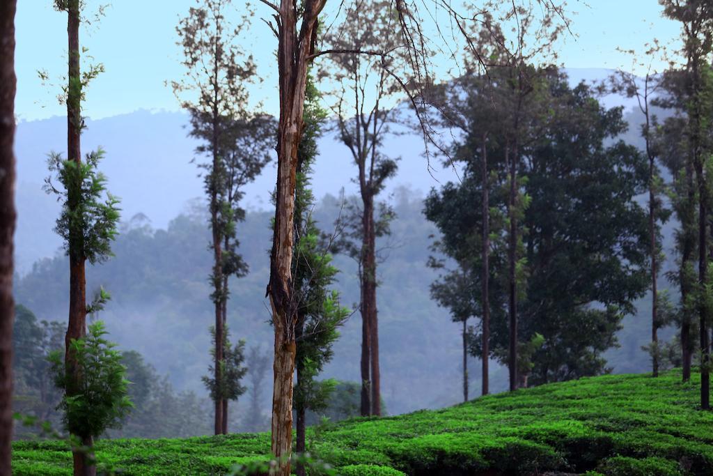 Parisons Plantation Experiences By Abad Hotel Mananthavady Bagian luar foto