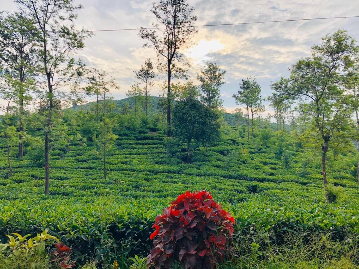 Parisons Plantation Experiences By Abad Hotel Mananthavady Bagian luar foto